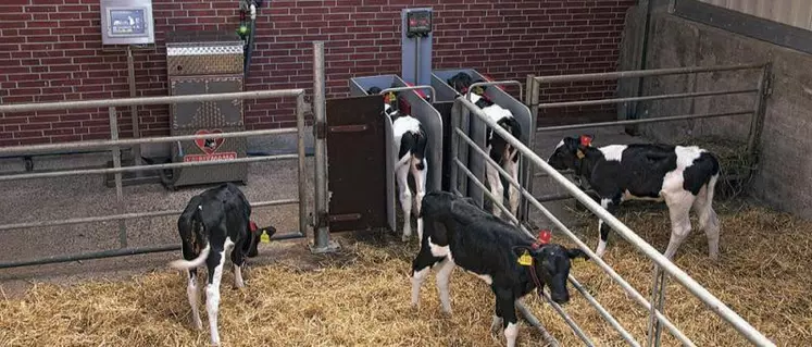 La distribution automatique permet de mieux gérer les rations.