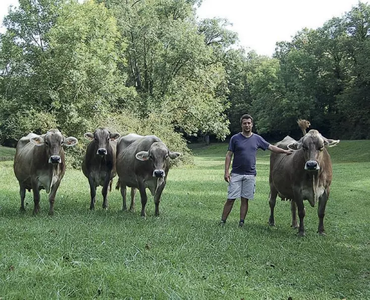 L’Aveyron est le deuxième département français en nombre de vaches Brunes. Une fierté pour tous les éleveurs de Brune Aveyron présidés par Clément Chayriguès.