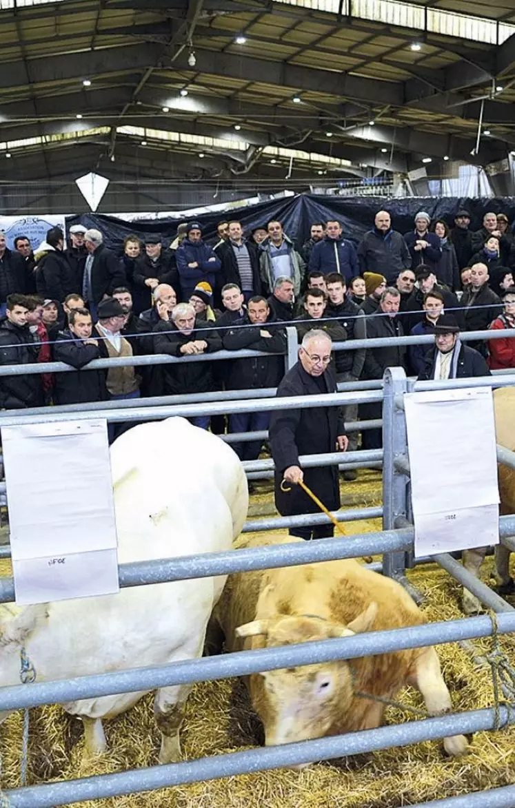 L'association du Marché aux bestiaux de Laissac et ses partenaires préparent la 13e édition du concours-vente Boeufs de Noël, samedi 2 décembre. Présentation avec Bernard Fabre, co-président avec Anne Mercadier.