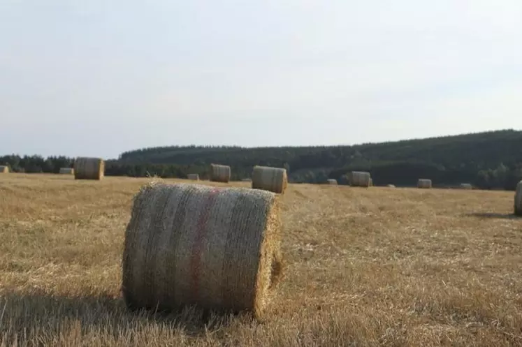 L’arrêté ministériel fixant l’indice national des fermages a été pris le 16 juillet 2020.