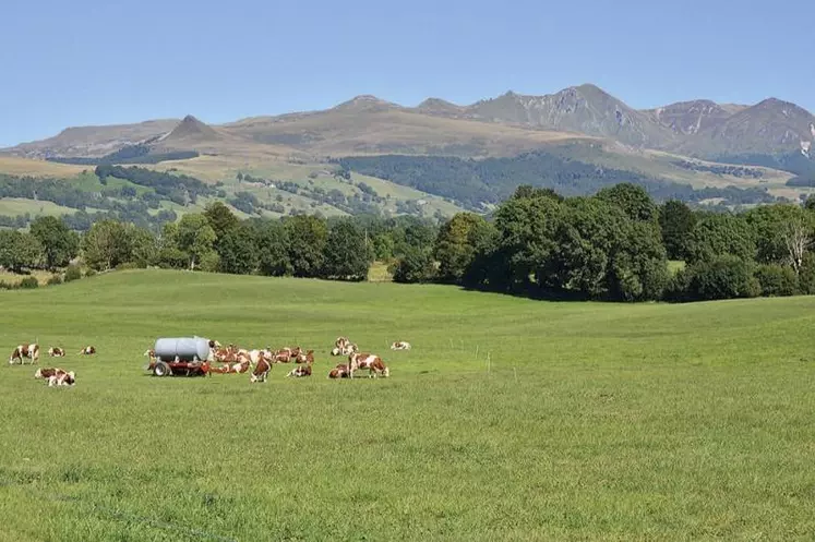 Le Massif central défend le principe d'une aide pour les producteurs laitiers de montagne différenciée.