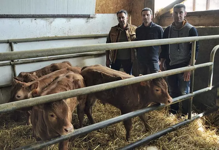 Denis Valette entouré de ses deux bouchers, Florent Salles et Frédéric Tichit.