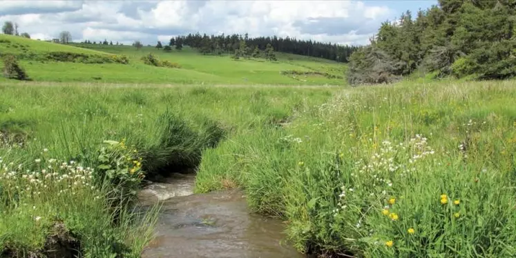 Le 2 février 1971, il y a cinquante ans déjà, 157 pays ont signé une convention internationale sur les zones humides à Ramsar en Iran. Depuis, cette date a été décrétée « Journée mondiale des zones humides », avec l’objectif de sensibiliser un large public pour leur préservation et faire reconnaître leur importance au niveau mondial.