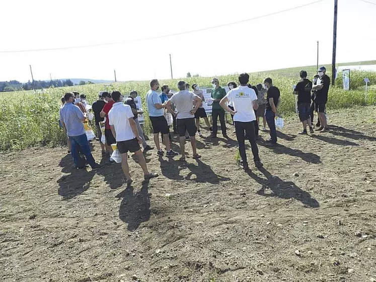 Jeudi 17 septembre en Haute-Loire, la chambre régionale d'agriculture et la FRCuma Auvergne Rhône Alpes proposaient divers ateliers sur le travail du sol et l'autonomie en élevage bio.