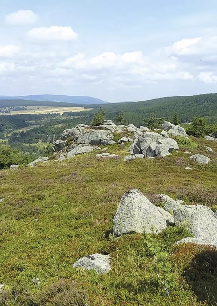 Joël Rouquet, maire de Saint-Pierre-le-Vieux et vice-président de la communauté de communes des Terres d’Apcher-Margeride-Aubrac, devient le nouveau président du site Natura 2000 Montagne de la Margeride.