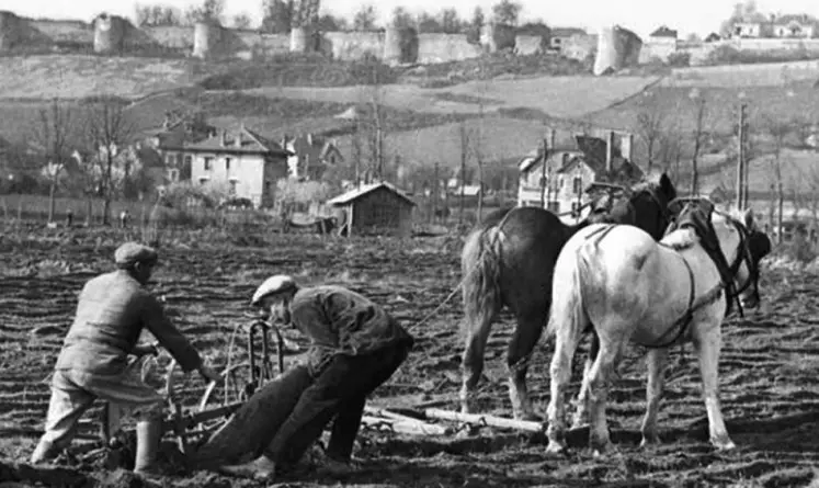 Recultiver les champs, un enjeu majeur pour un pays meurtri par quatre années d’une guerre sans précédent.