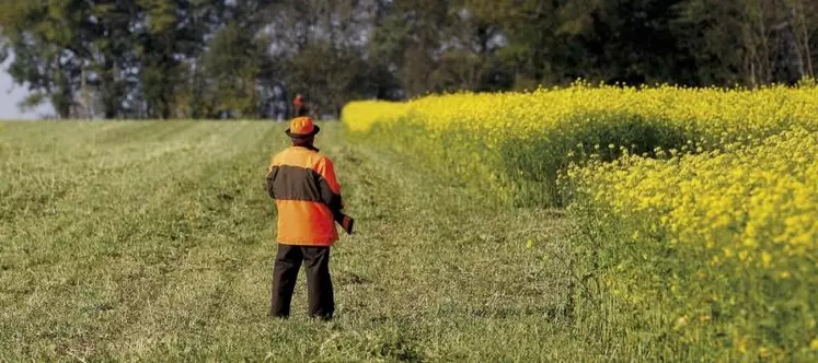 Si le premier confinement n'avait pas impacté la chasse, notamment en Lozère puisqu'elle n'était pas encore ouverte, ce deuxième confinement a donné lieu à un certain flou autour de cette activité, en plein coeur de la saison.