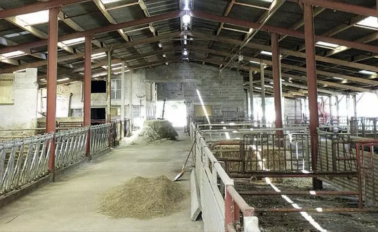 Le bâtiment d’élevage est un domaine de risque sanitaire. La prévention et la correction des problématiques relevées passent par l’investigation de plusieurs secteurs dont la densité, la ventilation, la luminosité ou l’aménagement.