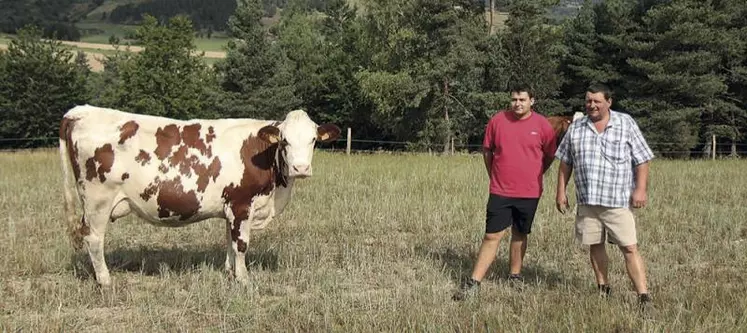 Installés à Donaldès, sur la commune de Saint-Symphorien, Loïc et Éric Bonhomme ammèneront quatre vaches à la Journée montagne.