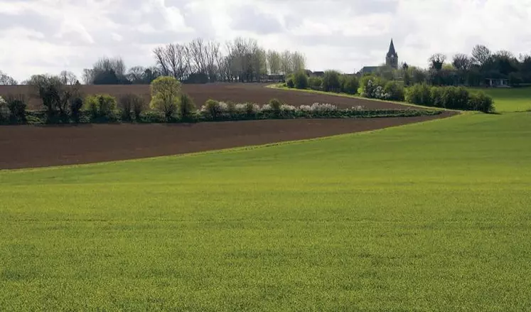 À l'occasion de l'examen du projet de loi de finances, l'exécutif a fait voter un amendement débloquant 60 millions d'euros en fonds propres dès 2022 pour les « projets agricoles d'avenir ». Le gouvernement a précisé les enveloppes et les mécanismes du plan France 2030.