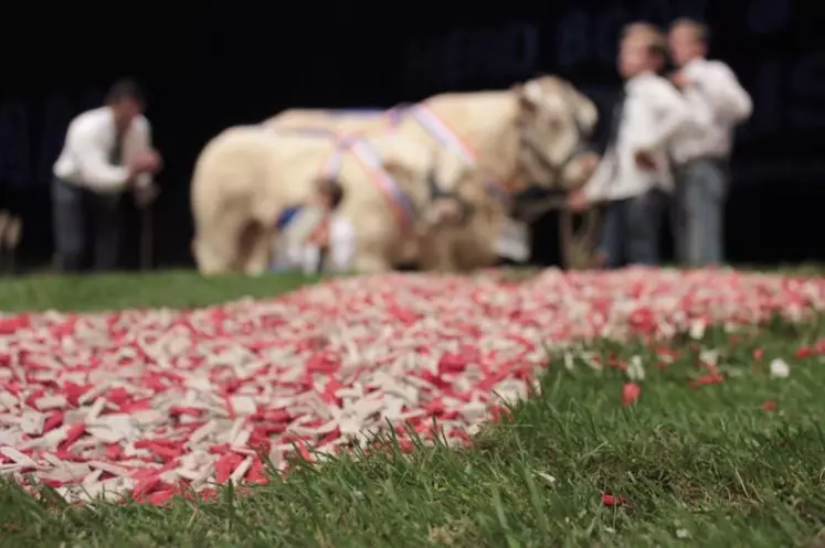 Le Herd-Book charolais travaille sur différents outils de promotion. Les concours en font partie.