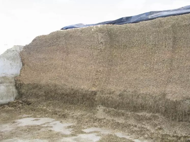 L'ensilage d'herbe pour une bonne récolte.