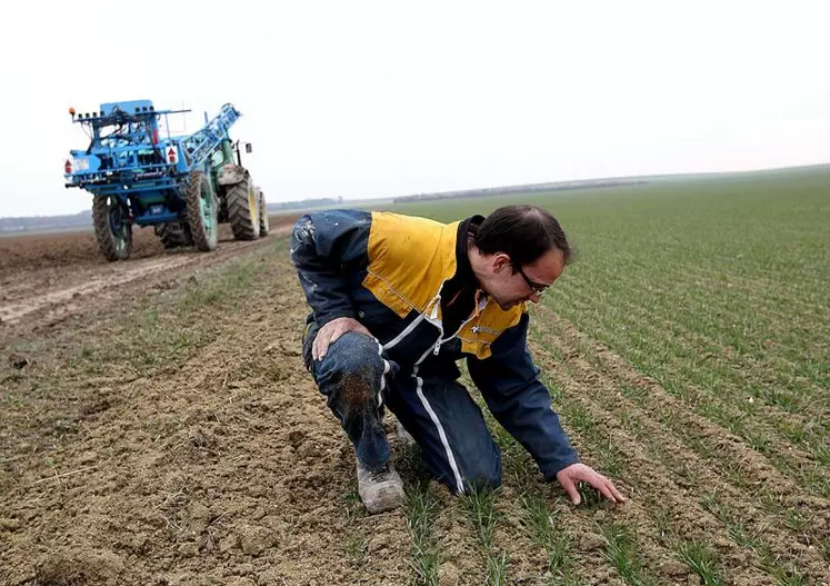 Le ministère de l'Agriculture a récemment assoupli la définition de l'agriculteur actif dans les SCEA, au grand dam de la Confédération paysanne. La mesure a été portée à titre « provisoire » par la FNSEA, pour donner le temps aux exploitations de s'adapter. Le syndicat doit encore mener un débat interne sur les règles à fixer à moyen et long terme.