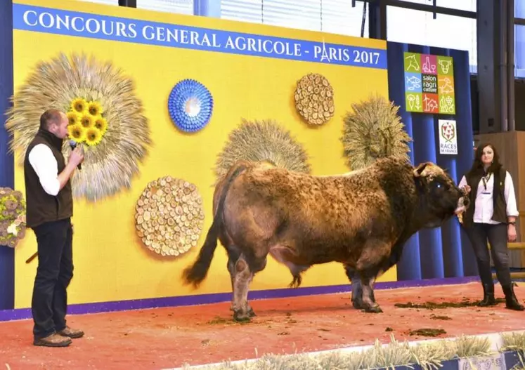 Helvétique, taureau du Gaec Batifol au Buisson, a raflé le prix du championnat mâle de l'année.