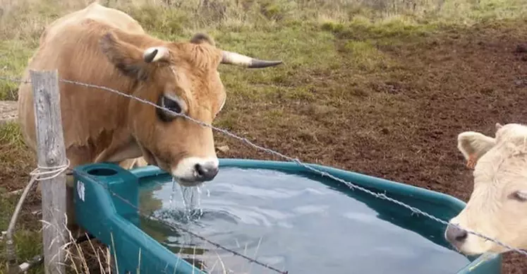 Abreuvoir avec flotteur intégré.