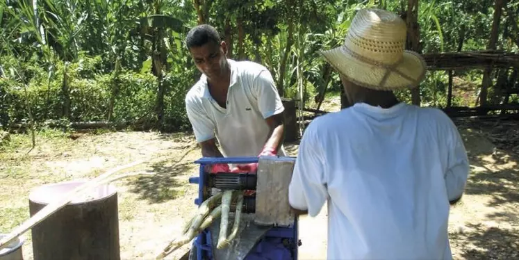 Entre un embargo américain qui dure depuis cinquante-huit ans et un modèle agricole centralisé et bureaucratisé, l'île de Cuba peine à nourrir sa population. Les difficultés économiques aggravées par la crise sanitaire ont plongé Cuba dans une profonde crise sociale.