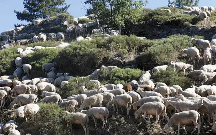 Le Civam Empreinte, créé en 2007, est l’un des neuf réseaux d’agriculteurs sélectionné suite à l’appel à projet lancé par la Fondation Daniel et Nina Carasso, dédié à la « diffusion massive de l’agroécologie ».
