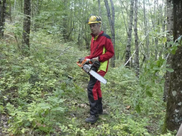 Abattre un arbre nécessite de connaître parfaitement les positions de sécurité et d’être bien équipé. Un équipement complet revient entre 200 et 450 euros.