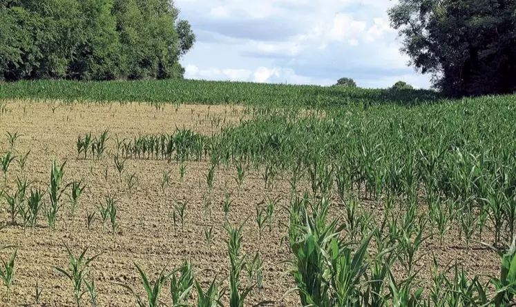 La France pourrait connaître de nombreuses restrictions d’eau dès le mois de mars, après un record de 32 jours sans pluie et un hiver très sec. Un plan d’action gouvernemental sur l’eau doit être annoncé prochainement.