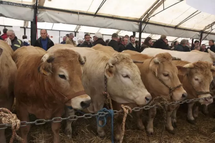 Malgré une météo changeante, ils était plus de 1 000 à se presser, samedi 1er avril, dans les allées du pré de la foire de Langogne.