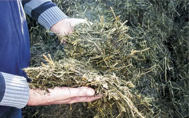 Pour une récolte des prairies sous forme d'ensilage, voici quelques recommandations de conduite des chantiers, de la fauche à la mise en silo.