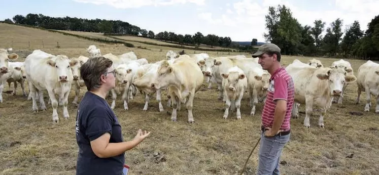 En Saône-et-Loire, plusieurs éleveurs expérimentent le report d’herbe sur pied pour s’adapter à la sécheresse. Ici, chez Pierre-Étienne Fuet à Ciry-le-Noble.