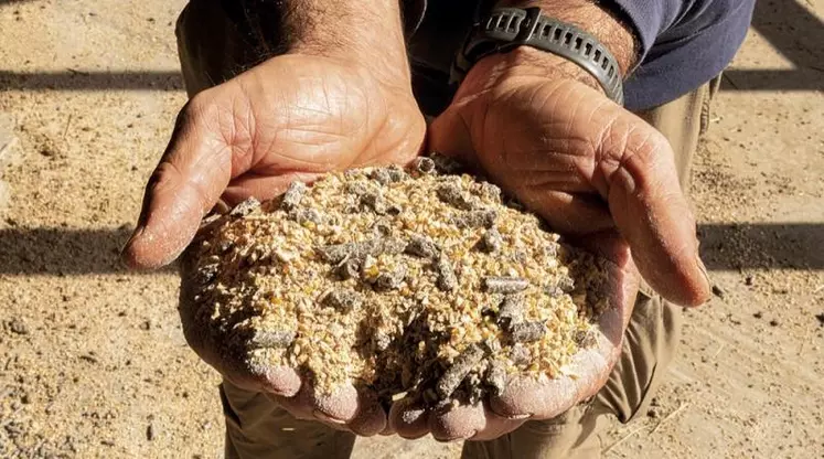 Pour alimenter les animaux, l’achat de granulés auprès d’industriels est une solution largement admise. Mais il est aussi possible de faire fabriquer ses propres rations, et c’est ce que fait, depuis son installation, cet éleveur de Salers.