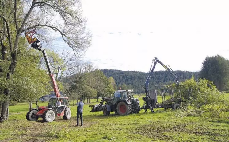 Il est interdit de tailler les haies entre le 1er avril et le 31 juillet inclus, excepté pour des raisons de sécurité ou si une branche touche une clôture électrique ou gêne le passage d'un engin.