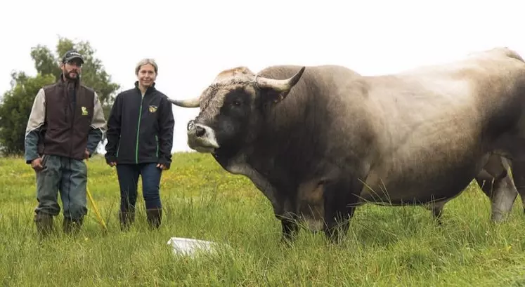 Les 18 et 19 septembre se déroulera le concours départemental Aubrac à la halle d’Aumont-Aubrac. Une manifestation attendue par les éleveurs, et l’occasion de mettre en avant leurs élevages. Portrait de Jonathan Fayt : jeune installé et premier concours.