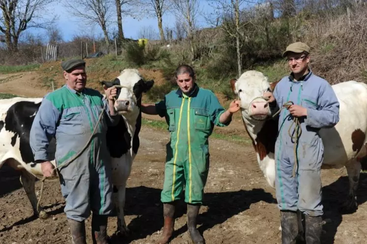 Philippe, David et Pierre avec les génisses Gina et Fiorentina.