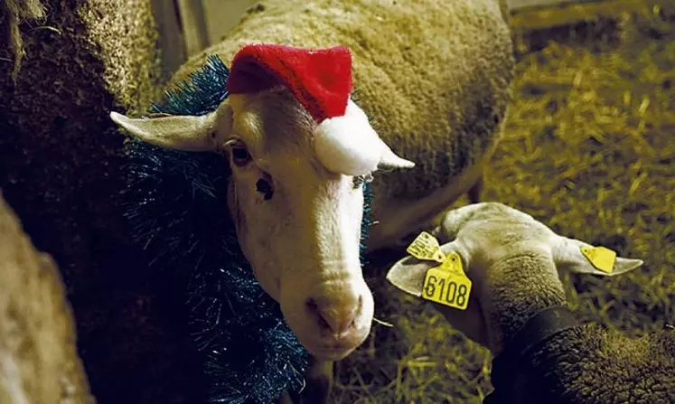 Pour la première fois, un marché de Noël a été organisé à Hyelzas, sur le Causse Méjean. À l'initiative du Gaec de Hyelzas, près de 300 personnes sont venues visiter les stands de 16 producteurs et artisans locaux.