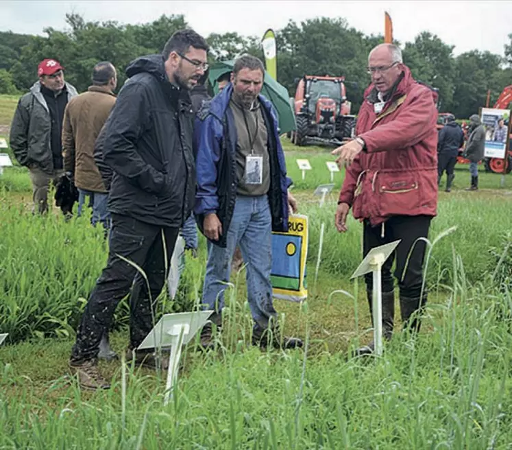 Le salon de l'herbe et des fourrages fait la part belle aux essais variétaux et démonstrations de matériels.