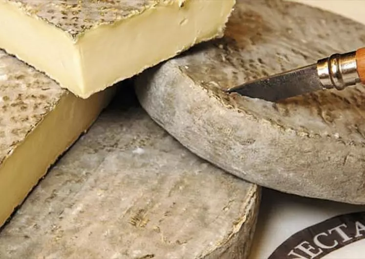 Intégrer les bienfaits pour la santé des fromages au lait cru en parallèle des recommandations sanitaires sur ces produits : l’ambition croisée du Cnaol, de l’Inrae, de l’Inao et des filières.