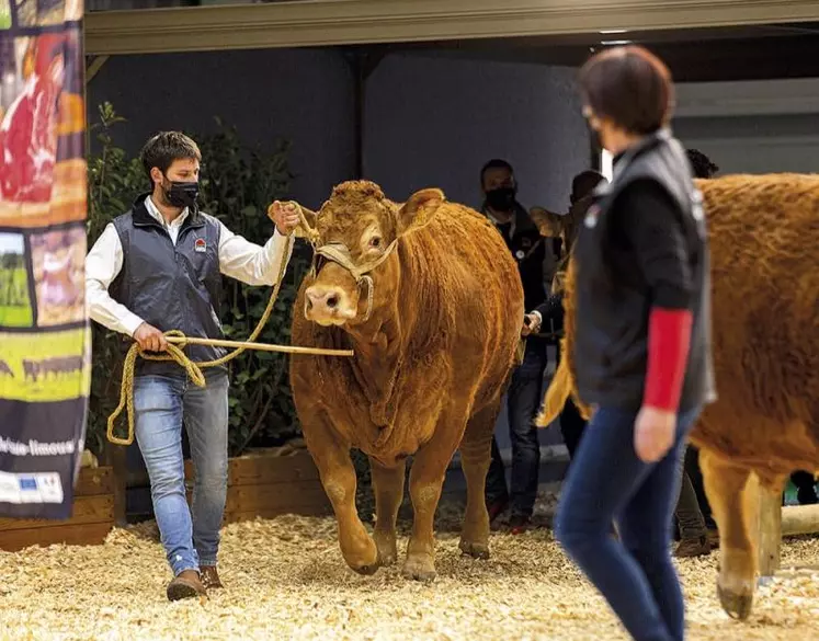 Du 25 février au 5 mars, la grand-messe annuelle de l’agriculture revient pour une 59e édition qui retrouve ses aplombs, après quelques années bousculées par des crises.