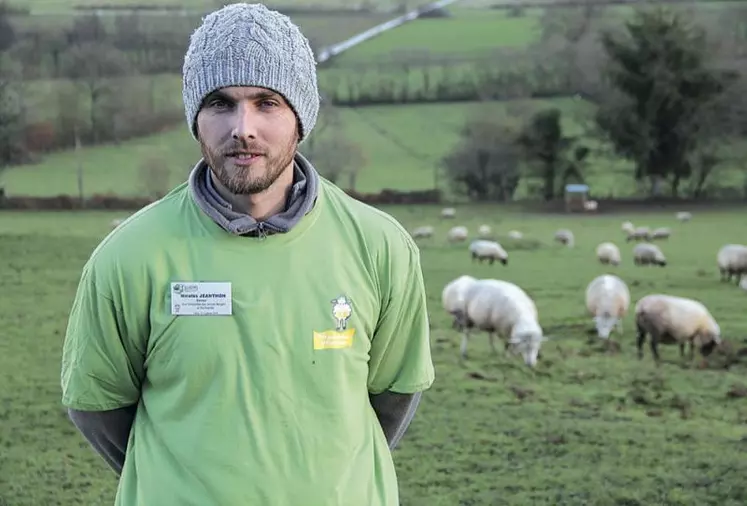 Pour se renouveler, la filière ovine doit installer 10 000 jeunes en dix ans.