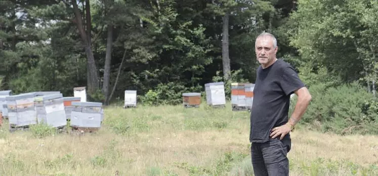 Philippe Jaffuel récolte le miel de ses 350 ruches le long de la Colagne, de Marvejols au Truc de Fortunio.