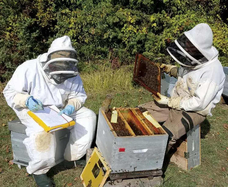 Anthony Bouetard de l’ASDA Occitanie et David Folcher en 2020, lors de l’analyse des ruches retenues pour l’étude Survapi.