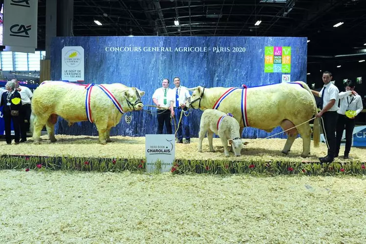 Neptune a remporté le prix de championnat mâle et Helvétie remporte le prix de championnat femelle.