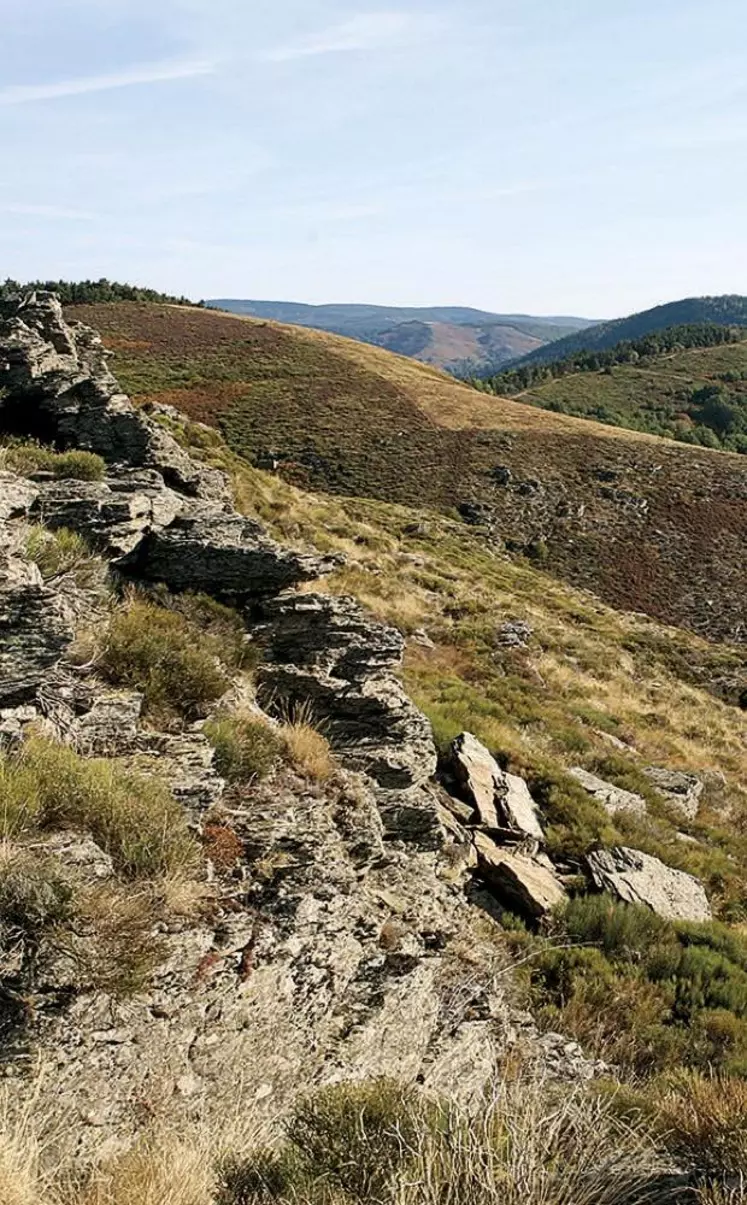 Alors que les campagnes françaises devraient encore accueillir de nombreux touristes cet été, les opérations de communication fleurissent elles aussi. Leur objectif : sensibiliser au respect de l’environnement.