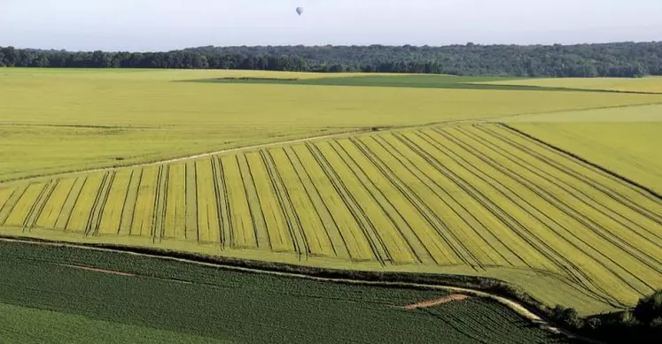 Les conséquences potentielles de la stratégie De la ferme à la table continuent d'inquiéter le secteur agricole. La Commission européenne aurait réalisé une étude, qu'elle refuse de publier, qui prévoit une baisse de 10 % de la production de l'UE.