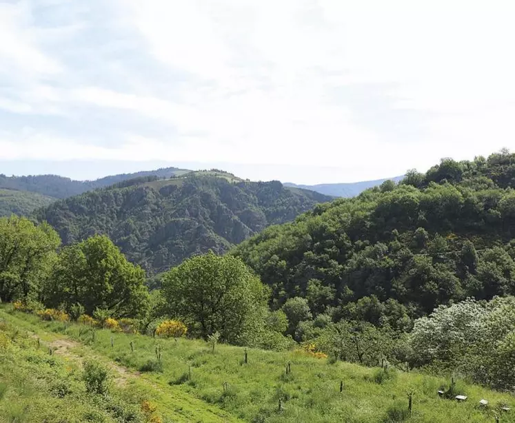 Alors qu’un programme Terra rural (mars 2021 à juin 2022), animé par le PETR sud Lozère et s’intéressant à l’agriculture, s’achève, un autre a été lancé (de septembre 2022 à juin 2024), dans la continuité des actions menées précédemment.