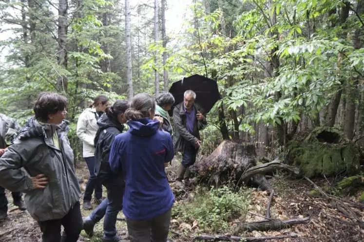 Les sept membres du jury ont visité la parcelle de Jean-Pierre Lafont le 23 mai dernier.