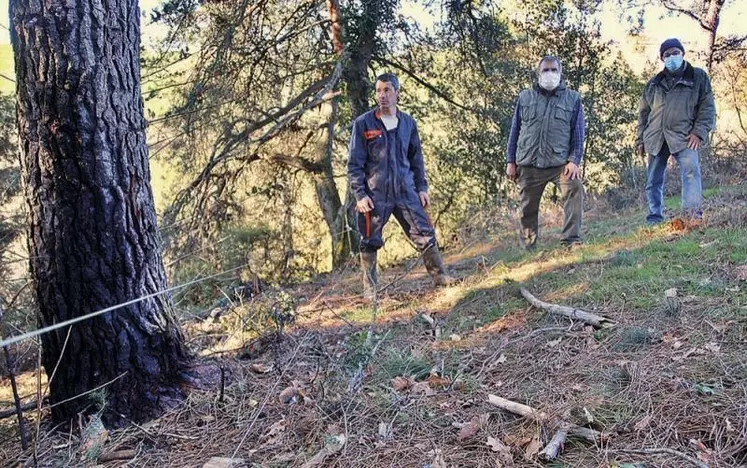 À Leynhac, on estime avoir eu de la chance après avoir maîtrisé un départ de feu lié à la foudre. Mais que ce serait-il passé en pleine forêt ?