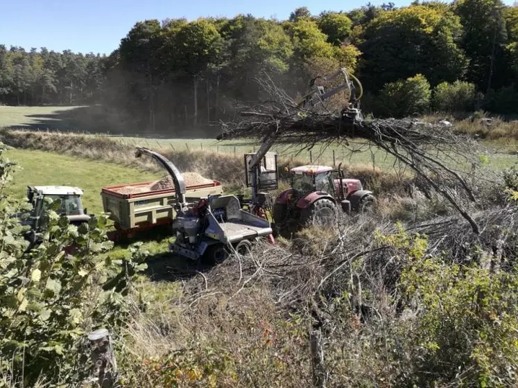 Les plaquettes forestières sont issues du broyage du bois en copeaux.