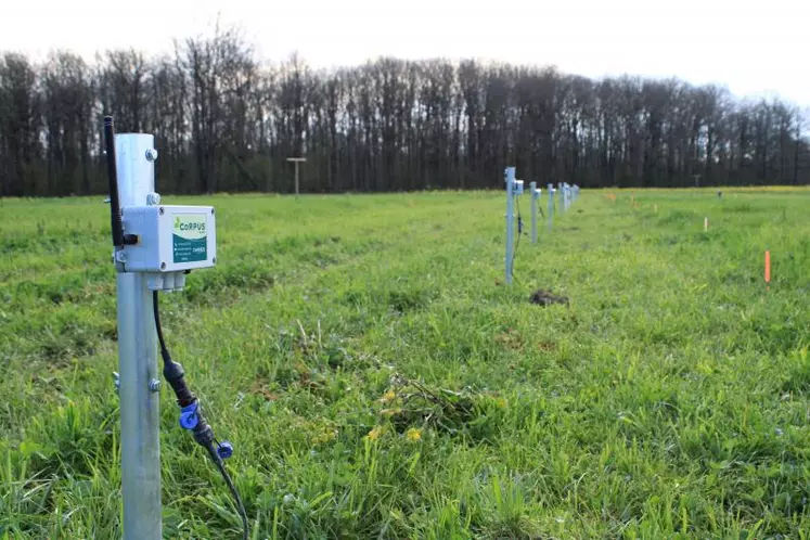 Des sondes capacitives et tensiométriques ont été installées au coeur des microparcelles d'essais sur l'irrigation des prairies.