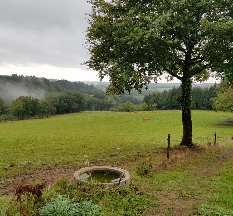 Sécuriser la qualité de l'eau d'abreuvement