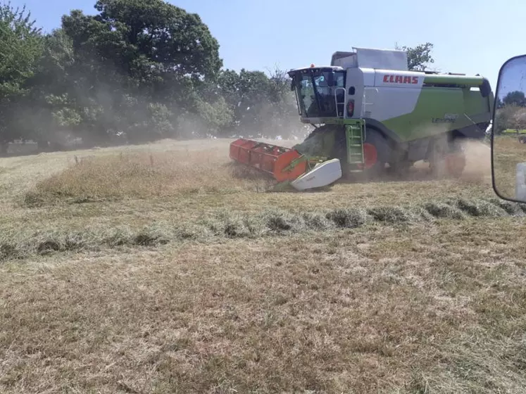 faible besoin)
La récolte d'un ha de graines permet donc de réimplanter une vingtaine d'hectares de trèfle.
De la luzerne pour « passer » les périodes difficiles...
Pour la première année, Vincent Fanthou, éleveur à Rosiers de Juillac, a pris la décision de moissonner la troisième coupe de luzerne pour produire ses propres graines de semence fermière. La récolte a été réalisée le 12 Septembre 2022 après 2 exploitations en fauche. Pour bien récolter le maximum de graines, ...