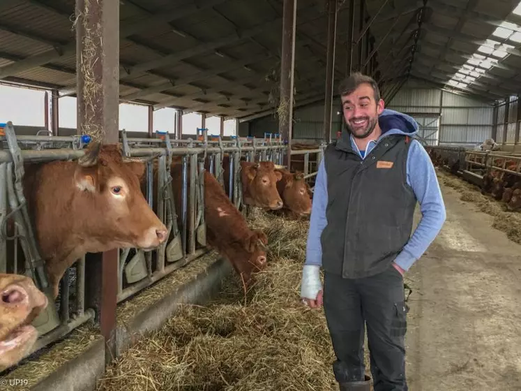 Florian Vilette en pleine complicité avec ses vaches
