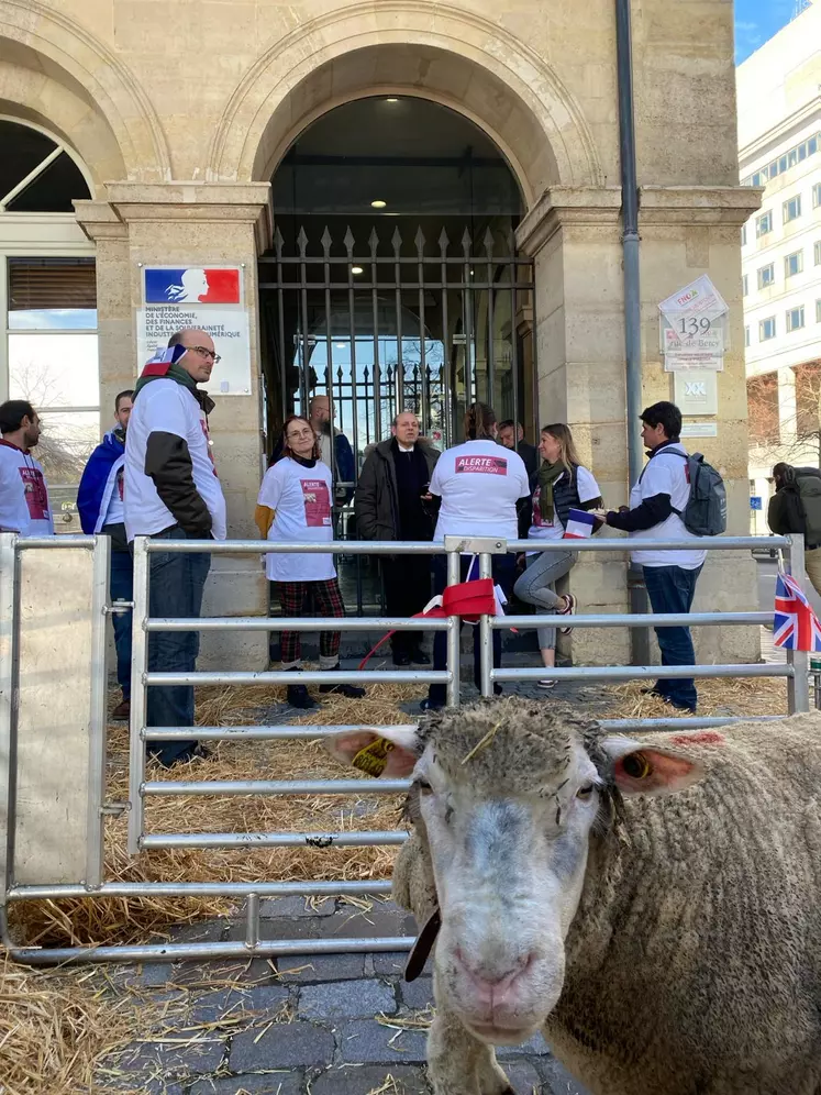 Manifestation des éleveurs d'ovins devant le Ministère de l'économie et des finances.