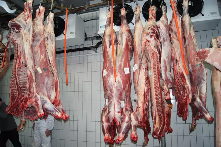 carcasse dans un abattoir dans le Puy-de-Dôme